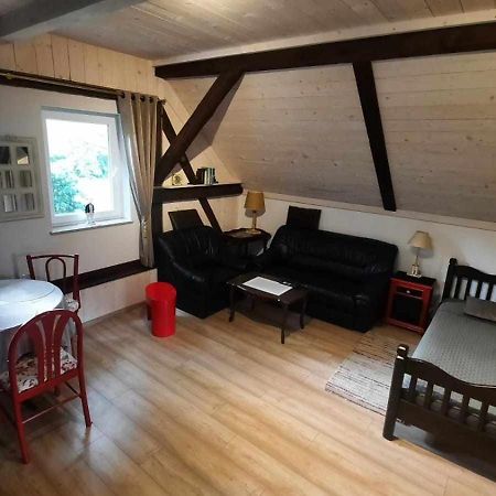 Apartament Jelen W Smokingu Sulow  Kültér fotó